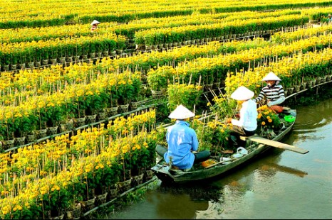 Tour Du Lịch Mùa Nước Nổi 3 Ngày 2 Đêm (Long An - Đồng Tháp - Châu Đốc)